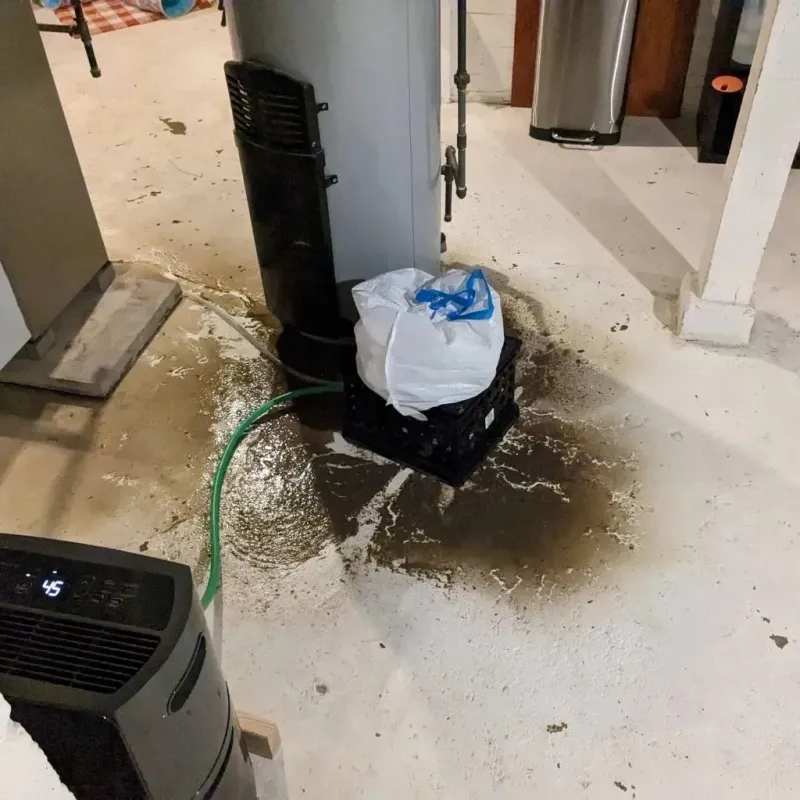 Sewage Backup Cleanup Service in Victoria, TX